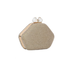 Crystal Gold Silver Rhinestone Crossbody Purse