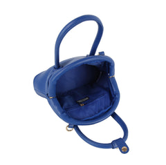 Frame top handles mini satchel